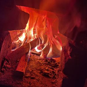 你会全心全意爱我吗