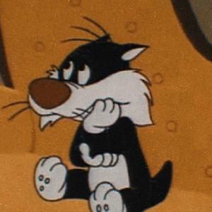 扶贫协会FREESTYLE