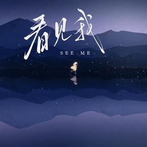 看见我