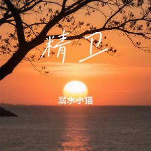 精卫 (Cover 王悦辰)