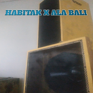 HABITAK X ALA BALI (Instrument)