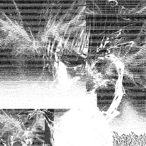 dsryudf