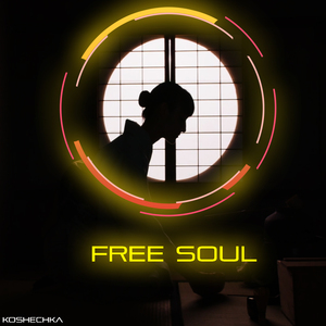 Free Soul