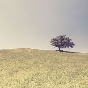 一尘不染宁静印象数