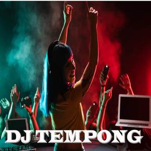 DJ minefield h 2 (Ins)