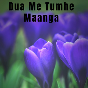 Tum To Dhokebaz