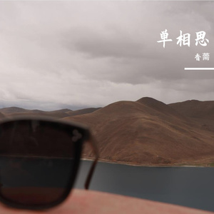 《哑火的烟花》