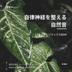 ストレス解消BGM-雨音に乗せて-