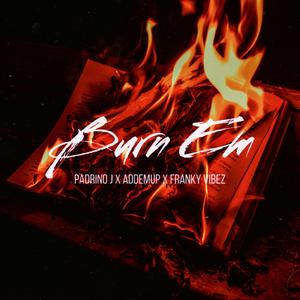 Burn Em (feat. Franky Vibez & Addemup)