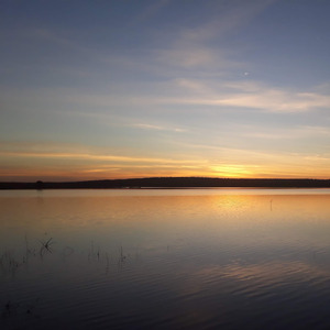 RUBIA CHARMOSA (Remix)