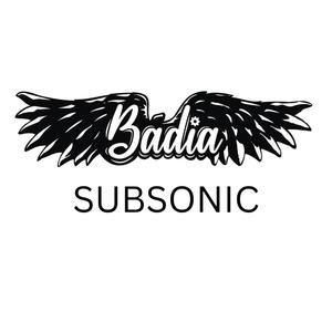 Subsonic