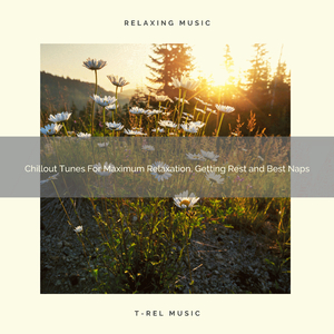 Christmas Mood Best Melodies For Relax, Deep Sleep and Good Night