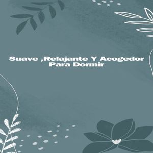 Facilita El Sueño