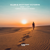 Allen & Envy - Don't Say (Ciaran McAuley Extended Remix)