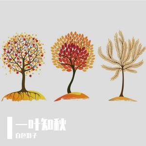 Moonlight（Prod by TuesdayBeats）