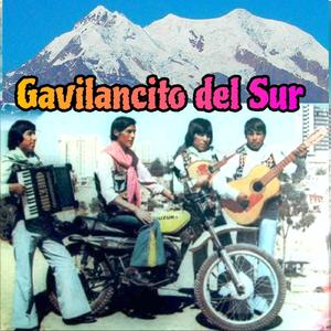 Automivila