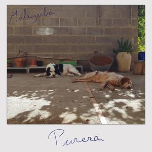 Pureza (feat. Vikarro)