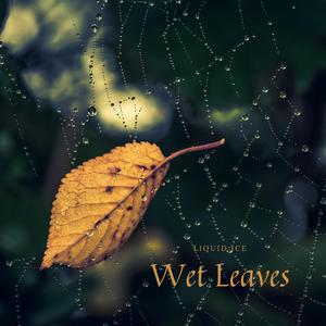 Wet Leaves
