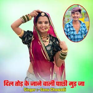 दिल तोड़ के जाने वाली पाछी मुड़ जा