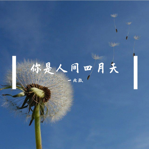 你是人间四月天（吉他弹唱）