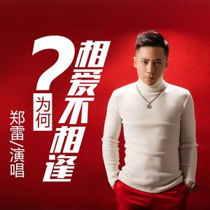 为何相爱不相逢 (伴奏)