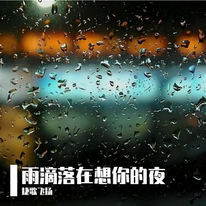 雨滴落在想你的夜 伴奏