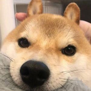 骑上我心爱的小摩托