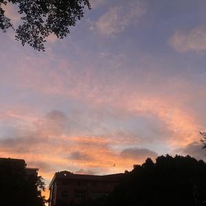 想去见你了（prod.by.9zi）