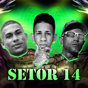 Setor 14