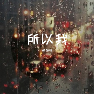 所以我