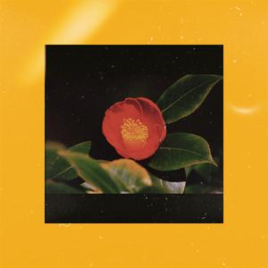 사랑한단 말이에요