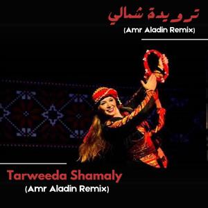 Tarweeda Shamaly (Amr Aladin Remix)