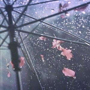 深度放松与睡眠/白噪音雷雨声/雨声助眠/暴雨/放松/学习/睡觉17