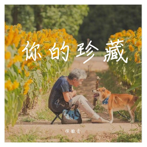 你的珍藏（cover单依纯） 侯徽音（翻自 单依纯）
