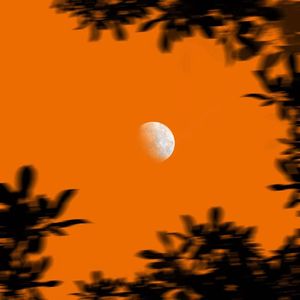 海底会不会梦见星空（Prod.By Xiangyue）