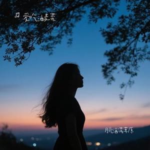 月光洒满草原