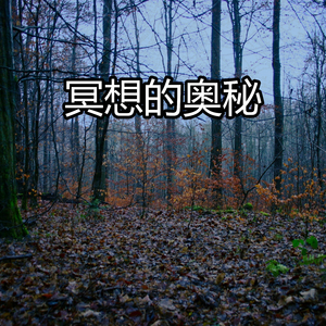 冥想的奥秘