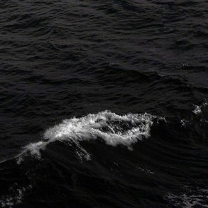 于星河 - 同类（Cover 陈俊彤）