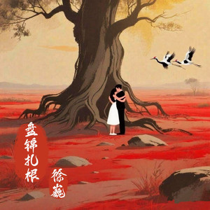 徐巍——盘锦扎根 伴奏