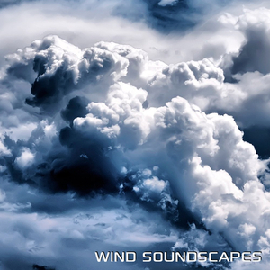 Wind White Noise (feat. White Noise of the Wind, Wind White Noise, Wind, Rain & Thunder, Discovery Nature Soundscapes, Sounds Nature & Discovery White Noise) (Wind for Relax Remix)