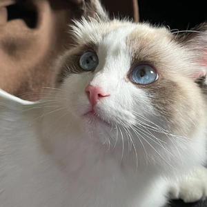 感谢你曾来过