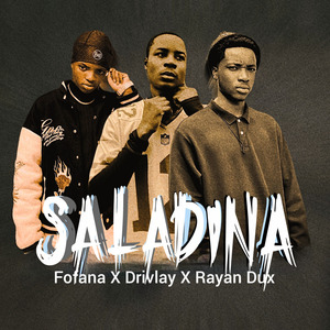 SALADINA