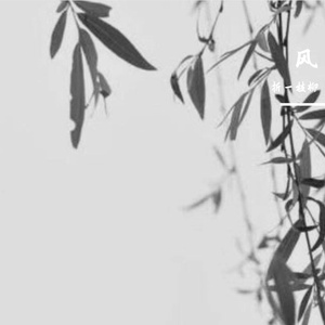 息兮_折一枝柳