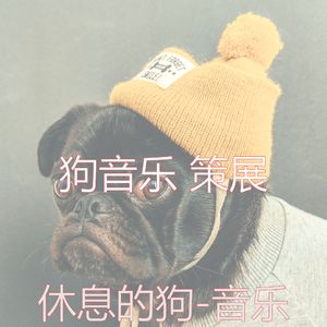 阳光明媚(休息的狗)