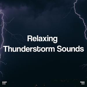 호우 잠