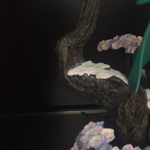 我要验牌(牌没有问题)