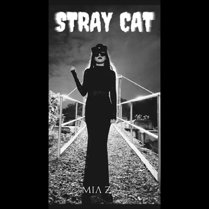 Stray Cat