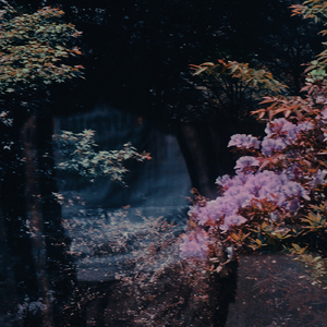 春夜