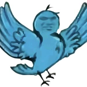 鸟都不鸟你 (meme)