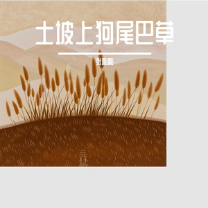 土坡上狗尾巴草